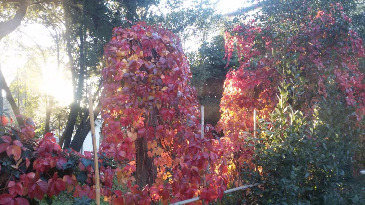 B&B In Sabina Poggio Nativo Εξωτερικό φωτογραφία