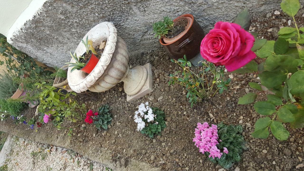 B&B In Sabina Poggio Nativo Εξωτερικό φωτογραφία